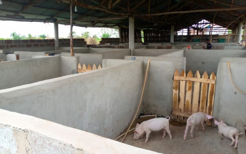 Ferme à Vendre à ALLADA